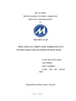 TIỂU LUẬN PHÂN TÍCH các CHIẾN lược MARKETING của TH TRUE MILK CHO sản PHẨM TH TRUE JUICE 