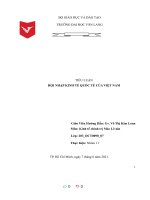 TIỂU LUẬN hội NHẬP KINH tế QUỐC tế của VIỆT NAM 