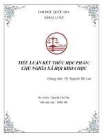 Sự vận dụng lý luận của chủ nghĩa mác – lênin về hình thái kinh tế   xã hội cộng sản chủ nghĩa đối với việc nhận thức về chủ nghĩa xã hội và con đường đi lên chủ nghĩa xã hội ở việt nam 