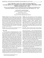 Tăng trưởng năng suất nhân tố tổng hợp của các hộ trồng lúa Jasmine tại huyện Tam Nông, tỉnh Đồng Tháp trong giai đoạn 2017-2019