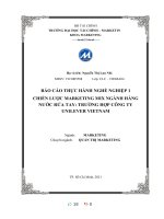 BÁO cáo THỰC HÀNH NGHỀ NGHIỆP 1 CHIẾN lược MARKETING MIX NGÀNH HÀNG nước rửa TAY TRƯỜNG hợp CÔNG TY UNILEVER VIETNAM 
