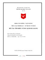 TIỂU LUẬN MODULE 3 – sử DỤNG văn bản đề tài tìm HIỂU về DU LỊCH hà GIANG 