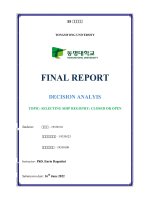 FINAL REPORT DECISION ANALYIS TOPIC SELECTING SHIP REGISTRY CLOSED OR OPEN 