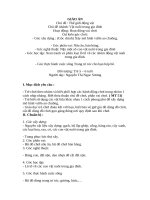 GIÁO án HOẠT ĐỘNG VUI CHƠI lá 4