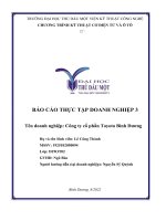 BÁO cáo THỰC tập DOANH NGHIỆP 3 tên doanh nghiệp công ty cổ phần toyota bình dương 