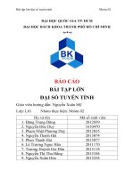 BÁO CÁO BÀI TẬP LỚN ĐẠI SỐ TUYẾN TÍNH