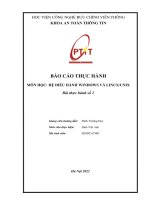BÁO cáo THỰC HÀNH môn học hệ điều HÀNH WINDOWS và LINUXUNIX bài thực hành số 1 kiến trúc windows server 