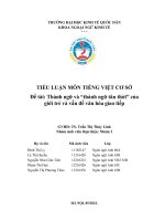 TIỂU LUẬN MÔN TIẾNG VIỆT CƠ SỞ Đề tài Thành ngữ và thành ngữ tân thời của giới trẻ và vấn đề văn hóa giao tiếp