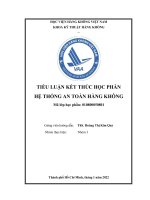 TIỂU LUẬN  HỆ THỐNG AN TOÀN HÀNG KHÔNG Tầm quan trọng của quản trị rủi ro an toàn hàng không Phân tích vai trò của báo cáo tự nguyện đối với quản trị rủi ro an toàn