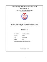 BÁO CÁO THỰC TẬP CƠ SỞ NGÀNH Tìm hiểu về vị trí việc làm của công ty INTERPLUS LOGISTICS 3