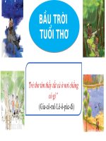 Giáo án trình chiếu bài 1 Ngữ văn 7 giới thiệu bài học và tri thức Ngữ văn sách kết nối tri thức với cuộc sống