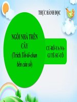 Giáo án trình chiếu (điện tử) Văn bản Ngôi nhà trên cây Bài 1 Ngữ văn 7 sách kết nối tri thức với cuộc sống
