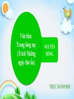 Giáo án trình chiếu (điện tử) tiết Thực hành đọc trong lòng mẹ, Bài 3 Ngữ văn 7 sách kết nối tri thức với cuộc sống