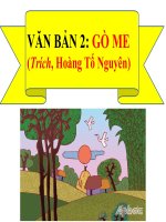 Giáo án trình chiếu (điện tử) Văn bản Gò me Bài 4 Ngữ văn 7 sách kết nối tri thức với cuộc sống