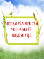 Giáo án trình chiếu (điện tử) Viết bài văn biểu cảm về con người hoặc sự vật Bài 4 Ngữ văn 7 sách kết nối tri thức với cuộc sống