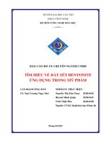 BÁO CÁO ĐỒ ÁN CHUYÊN NGÀNH CNHH TÌM HIỂU VỀ ĐẤT SÉT BENTONITE ỨNG DỤNG TRONG MỸ PHẨM
