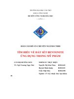 BÁO CÁO ĐỒ ÁN CHUYÊN NGÀNH CNHH TÌM HIỂU VỀ ĐẤT SÉT BENTONITE ỨNG DỤNG TRONG MỸ PHẨM