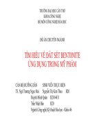 ĐỒ án CHUYÊN NGÀNH tìm HIỂU về đất sét BENTONITE ỨNG DỤNG TRONG mỹ PHẨM 