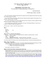 HỢP ĐỒNG NGUYÊN TẮC (Về vận tải quốc tế đường hàng không đường biển )