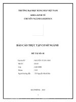 BÁO cáo THỰC tập cơ sở NGÀNH tìm HIỂU về vị TRÍ VIỆC làm CÔNG TY INTERPLUS 