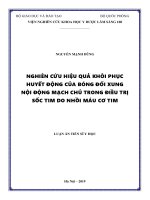 (LUẬN án TIẾN sĩ) nghiên cứu hiệu quả khôi phục huyết động của bóng đối xung nội động mạch chủ trong điều trị sốc tim do nhồi máu cơ tim 