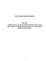 (SKKN HAY NHẤT) thiết kế và sử dụng một số công thức giúp học sinh xác định số loại giao tử tạo thành trong giảm phân 