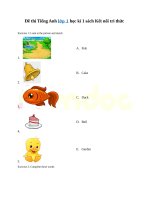 Đề thi tiếng anh lớp 1 học kì 1 sách kết nối tri thức 