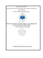 TIỂU LUẬN tên đề tài PHÁP LUẬT hôn NHÂN và GIA ĐÌNH VIỆT NAM về CHẤM dứt hôn NHÂN 