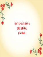 Giáo án dạy thêm ngữ văn 7 sách kết nối tri thức với cuộc sông bài 3 văn bản quê hương 