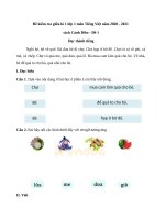 de thi giua ki 1 lop 1 mon tieng viet nam 2020 sach canh dieu de 1 