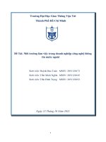 Đề tài môi trường làm việc trong doanh nghiệp công nghệ thông tin nước ngoài 