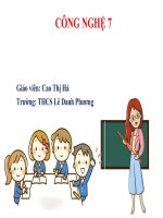 Bài 5  nhân giống vô tính cây trồng  cao thị hà   0974644820 (1) 