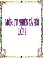 THẾ GIỚI ĐỘNG VẬT HOANG DÃ