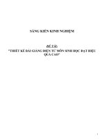 (SKKN HAY NHẤT) thiết kế bài giảng điện tử môn sinh học đạt hiệu quả cao 
