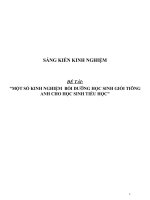 (SKKN HAY NHẤT) một số kinh nghiệm bồi dưỡng học sinh giỏi môn tiếng anh cho học sinh tiểu học 