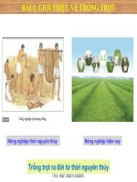 bai 1 gioi thieu ve trong trot 