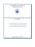 Đề Tài Môi trường làm việc trong doanh nghiệp công nghệ thông tin nước ngoài