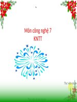 bài 3 gieo trồng, chăm sóc và phòng trừ sâu bệnh hại cho cây trồng  phạm thị nhàn 