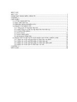 hoạt động marketing mix của tập đoàn hoa sen