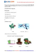 Tải Lý thuyết Tiếng Việt 1 Chính tả: Tặng cháu (Ngắn gọn)