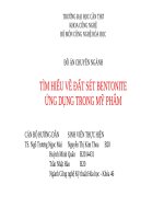 ĐỒ án CHUYÊN NGÀNH tìm HIỂU về đất sét BENTONITE ỨNG DỤNG TRONG mỹ PHẨM 