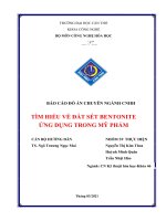 BÁO cáo đồ án CHUYÊN NGÀNH CNHH tìm HIỂU về đất sét BENTONITE ỨNG DỤNG TRONG mỹ PHẨM 