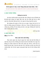 de thi giua ki 2 lop 1 mon tieng viet nam 2021 sach canh dieu de 1 