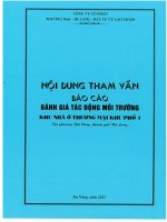 BÁO CÁO ĐÁNH GIÁ TÁC ĐỘNG MÔI TRƯỜNG Dự án: “Khu nhà thương mại khu phố phường Bãi Cháy, thành phố Hạ Long”
