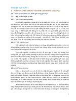 Đánh giá trong giáo dục