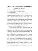 ĐẶC điểm tài CHÍNH của hợp tác xã THƯƠNG mại VIỆT NAM 