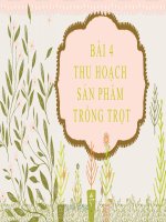 Bài 4  CN7 thu hoạch sản phẩm trồng trọt 
