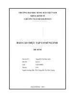 BÁO cáo THỰC tập cơ sở NGÀNH tìm HIỂU về vị TRÍ VIỆC làm tại CÔNG TY INTERPLUS LOGISTICS 