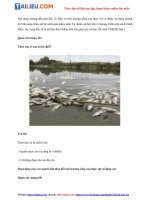 Tải Giải Tự nhiên và xã hội lớp 2 Cánh Diều Bài 12: Bảo vệ môi trường sống của thực vật và động vật