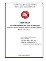 (Tiểu luận FTU) ứng dụng hệ thống hoạch định nguồn lực doanh nghiệp (ERP) tại tập đoàn xăng dầu việt nam petrolimex  